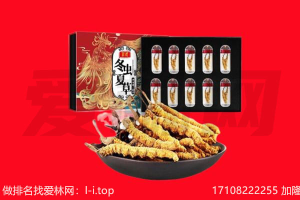 谢通门县回收虫草.jpg